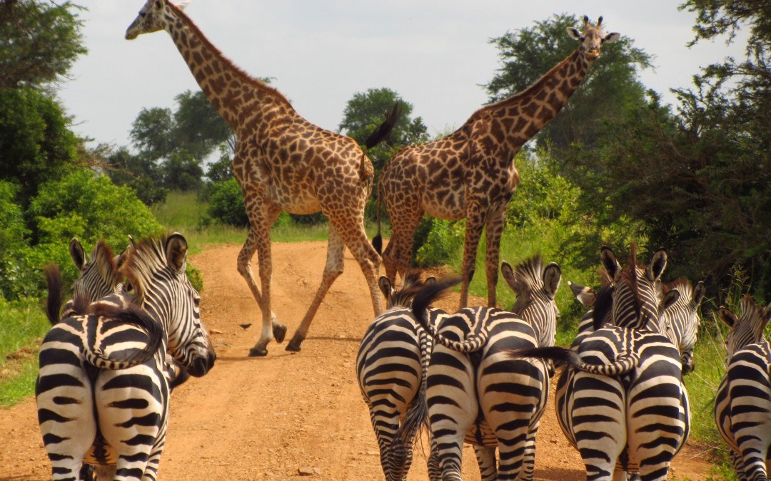 Vêtements pour la Tanzanie : nos conseils